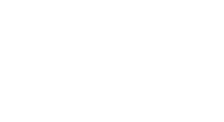 Item 11