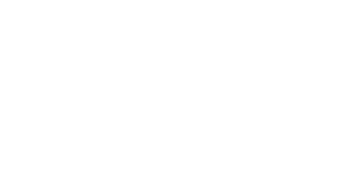 Item 17